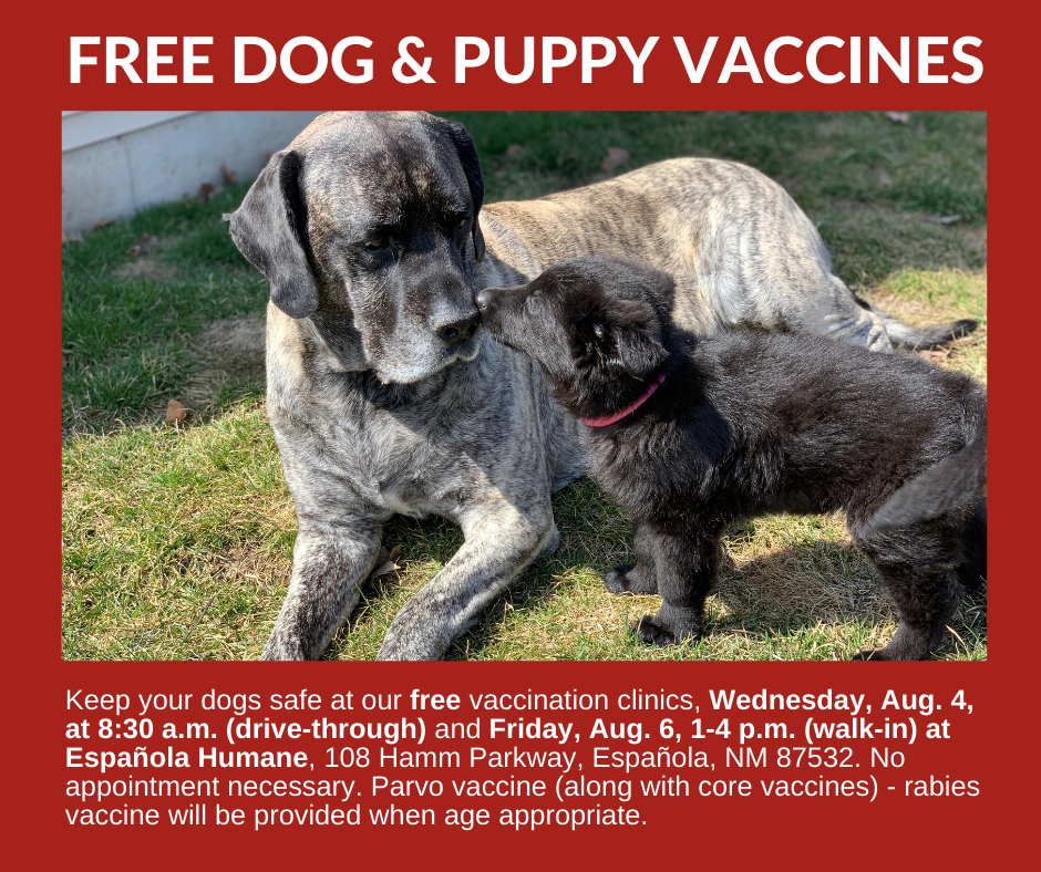 Free Dog and Puppy Vaccine Clinic - Española Humane