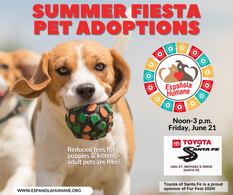 Toyota Of Santa Fe Hosts Friday Adoption Event Espanola Humane Toyota of santa fe hosts friday adoption event espanola humane