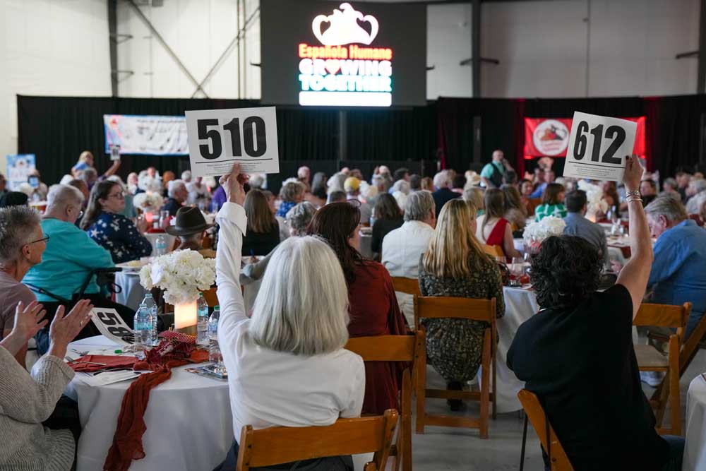 Fur Fest 2026 bidding 2